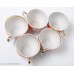 Komplekts 5 gab. Porcelāna tējas tases, apgleznojums, Baranovas porcelāna rūpnīca